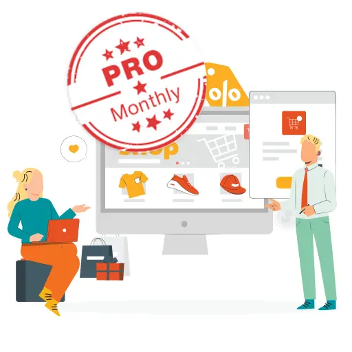 Ecommerce PPC - Pro package